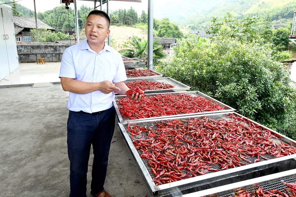 尊龙凯时·(中国)人生就是搏!